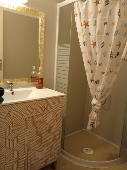 Apartament Le Briochin Saint-Brieuc Zewnętrze zdjęcie