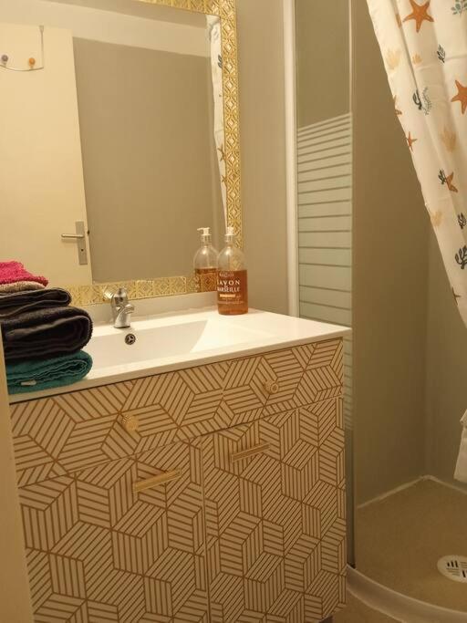 Apartament Le Briochin Saint-Brieuc Zewnętrze zdjęcie